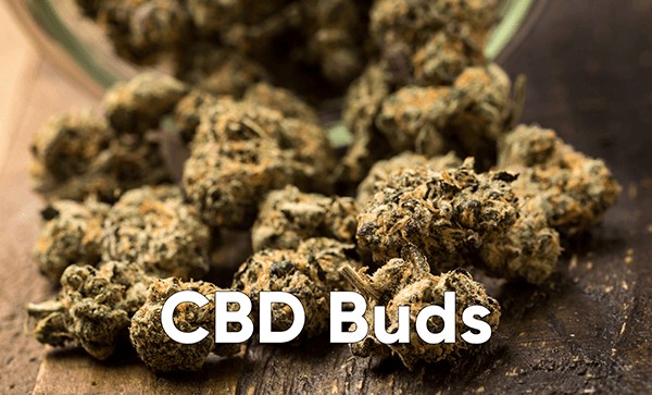 CBD Buds