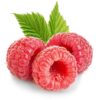 Hallon (Rubus idaeus)